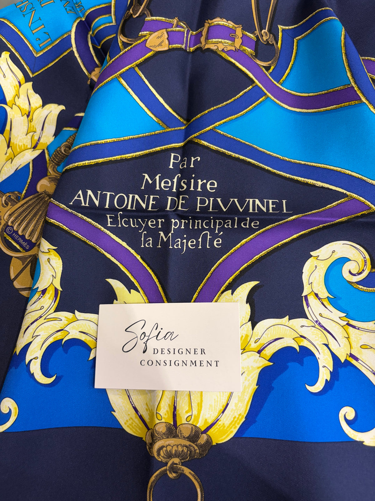 Hermès L'Instruction du Roy Purple Colorway 90cm Scarf