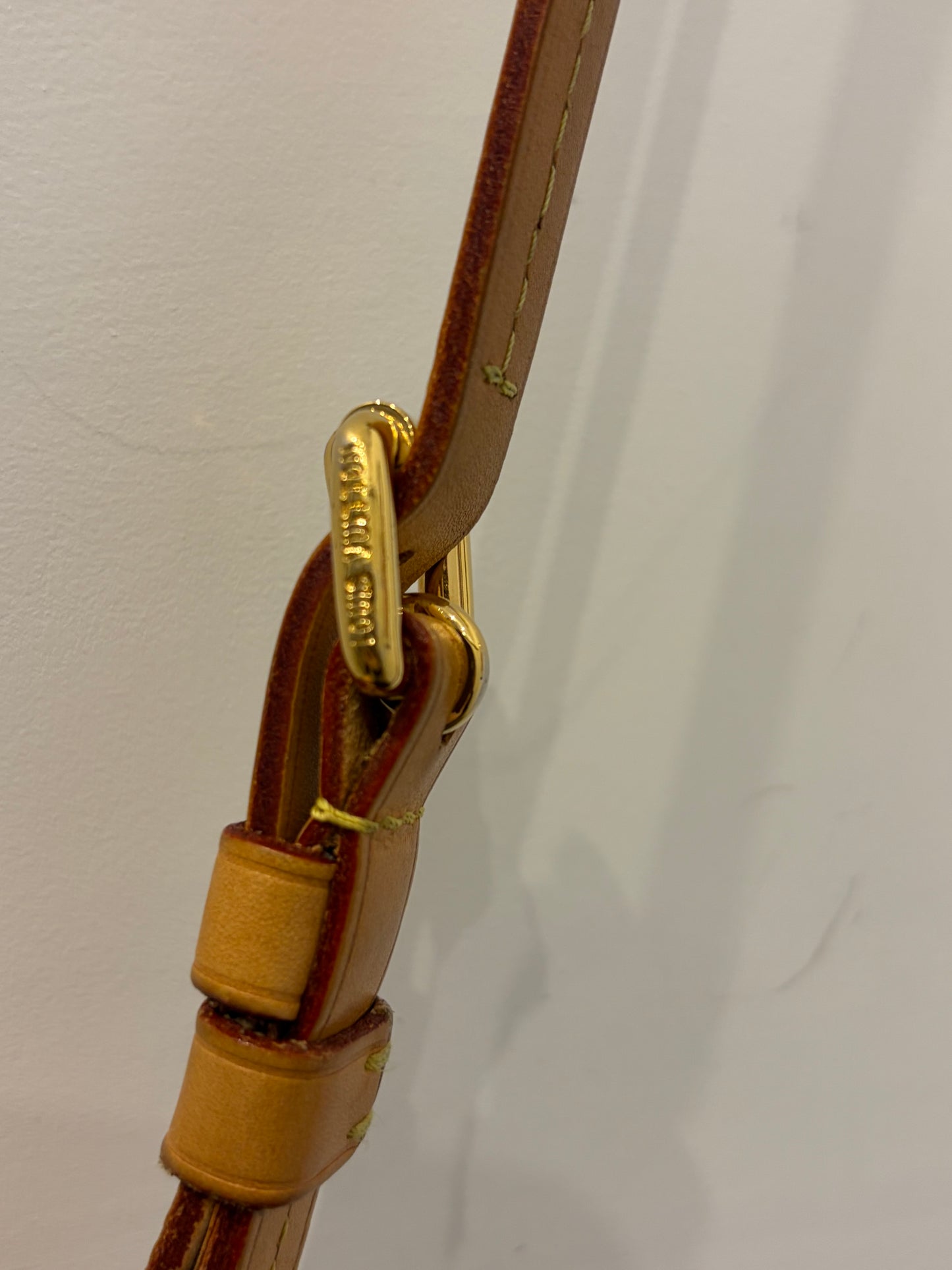 Louis Vuitton Viva-Cité PM Crossbody